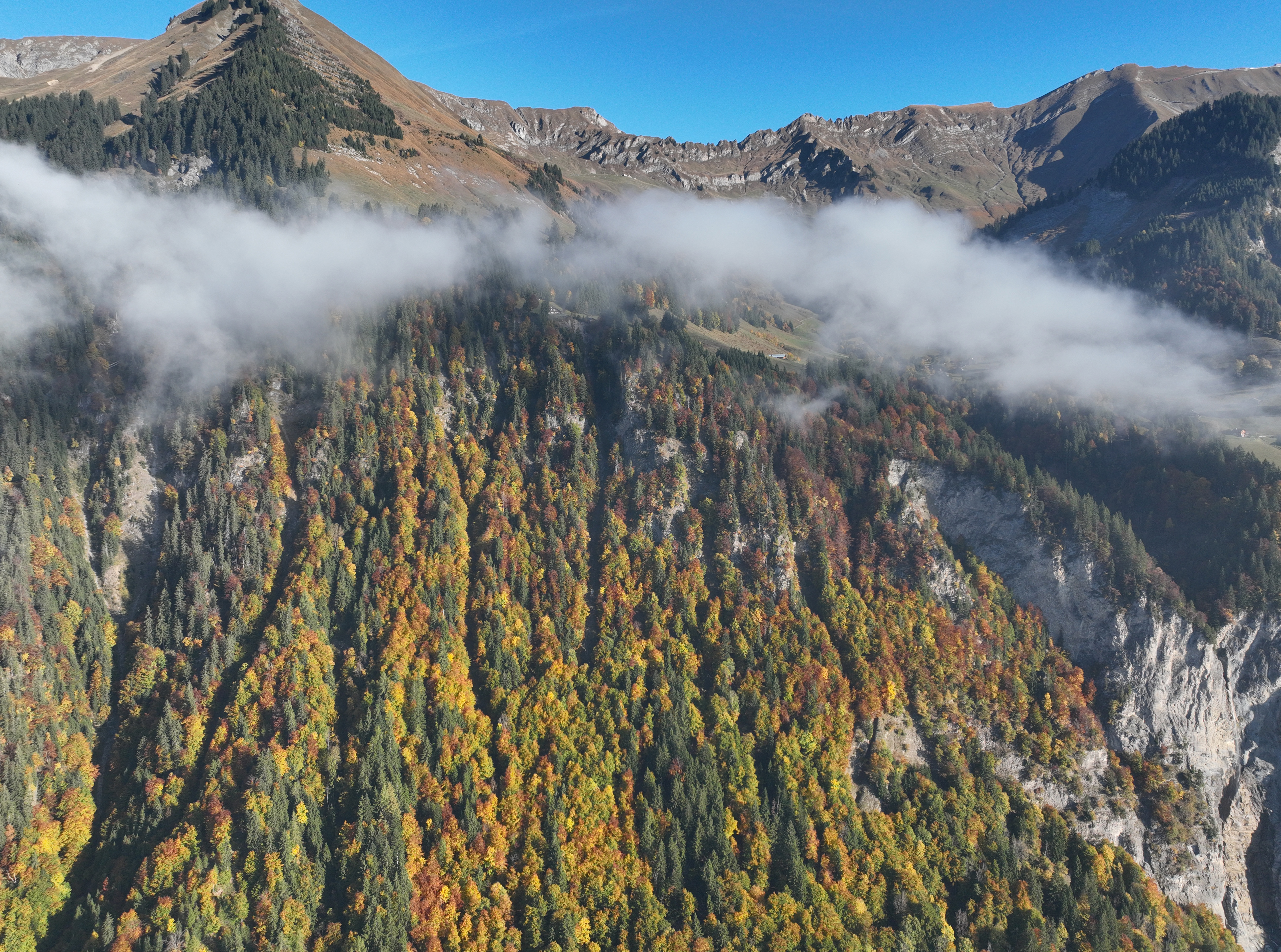 Une femme portée disparue après une randonnée dans la région du Brienzer Rothorn a été retrouvée sans vie mardi à la mi-journée lors d’une opération de recherche. 