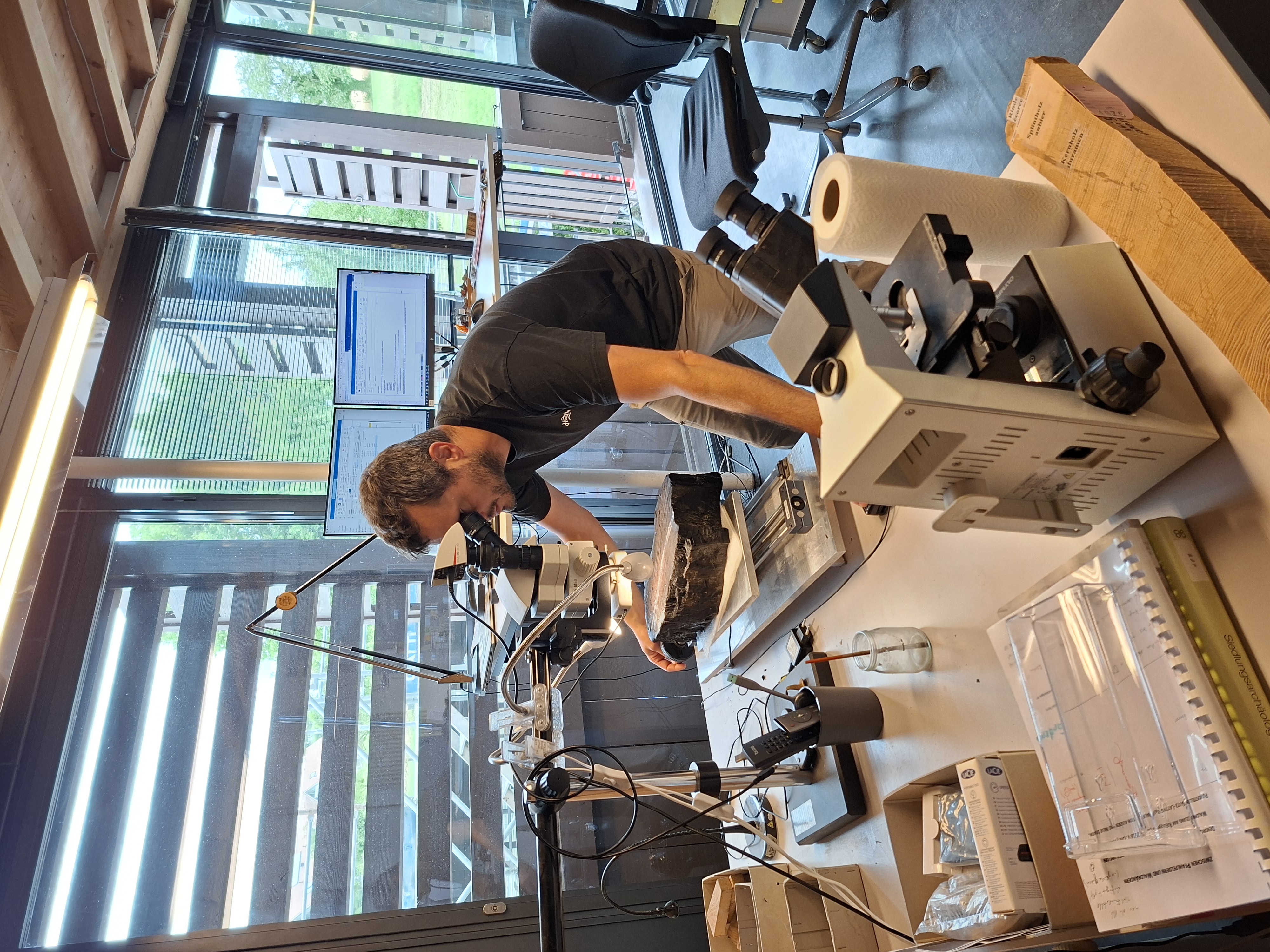 Matthias Bolliger misst im Dendrolabor des Archäologischen Dienstes die Jahrringe eines Eichenpfahls. Foto: Archäologischer Dienst des Kantons Bern, Markus Leibundgut